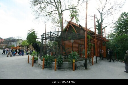 Budapestre érkezett a komodói sárkány-stock-foto