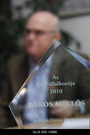 Az Év Vállakozója 2010 - Bakos Miklós-stock-foto