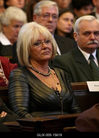 Díszpolgári Cím, Pro Urbe, Budapestért - díjátadó-stock-foto