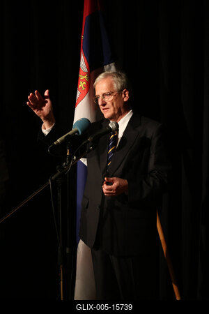 Hazánkba látogatott Boris Tadic szerb elnök-stock-foto