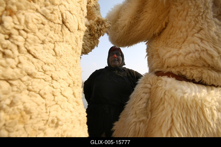 Busójárás 2009-stock-foto