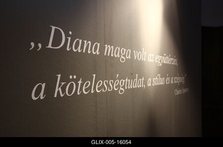 Kiállítás Diana hercegnő személyes tárgyaiból-stock-foto