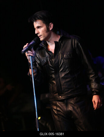 Elvis Country Tour 2009 'Magyarország / Az Elvis-történet /-stock-foto