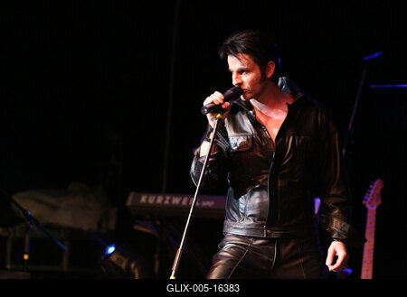 Elvis Country Tour 2009 'Magyarország / Az Elvis-történet /-stock-foto