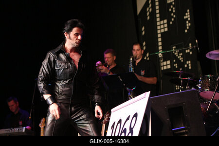 Elvis Country Tour 2009 'Magyarország / Az Elvis-történet /-stock-foto