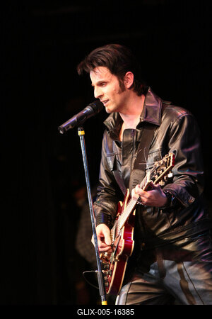 Elvis Country Tour 2009 'Magyarország / Az Elvis-történet /-stock-foto