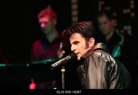 Elvis Country Tour 2009 'Magyarország / Az Elvis-történet /-stock-foto