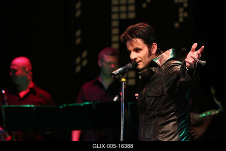 Elvis Country Tour 2009 'Magyarország / Az Elvis-történet /-stock-foto