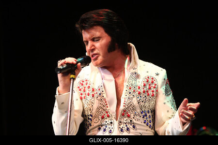 Elvis Country Tour 2009 'Magyarország / Az Elvis-történet /-stock-foto