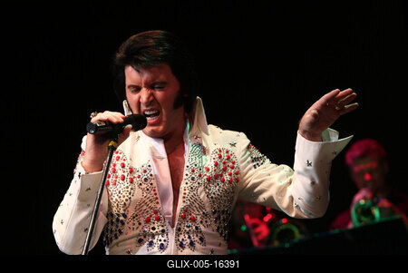 Elvis Country Tour 2009 'Magyarország / Az Elvis-történet /-stock-foto