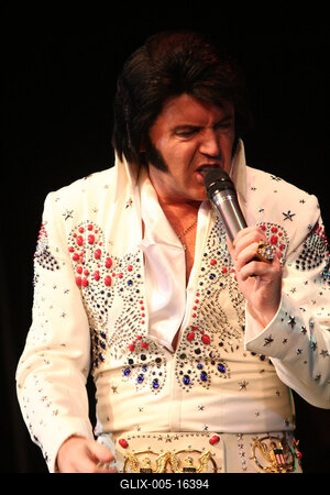 Elvis Country Tour 2009 'Magyarország / Az Elvis-történet /-stock-foto