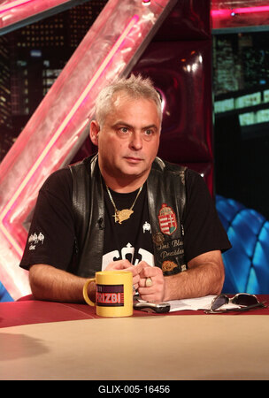 Az Esti Frizbi felvétele-stock-foto