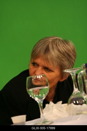 XV. Budapesti Nemzetközi Könyvfesztivál-stock-foto