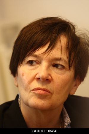 A Levegő Munkacsoport és a Nemzeti Azbesztmentesítési Program Munkacsoport sajtótájékoztatója-stock-foto