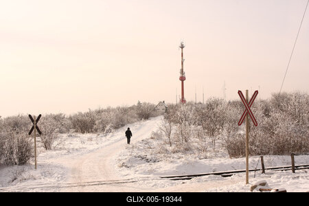 Normafa télen-stock-foto