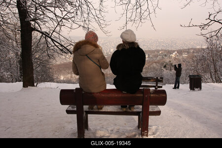 Normafa télen-stock-foto