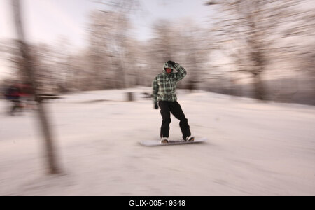 Normafa télen-stock-foto
