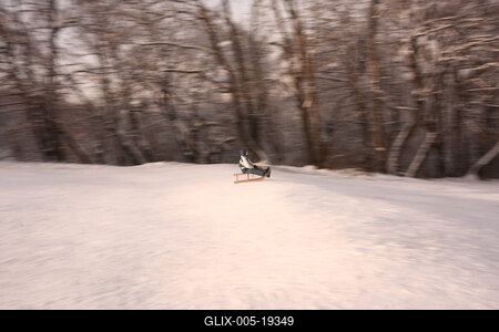 Normafa télen-stock-foto