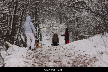 Normafa télen-stock-foto