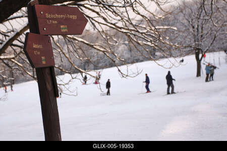 Normafa télen-stock-foto