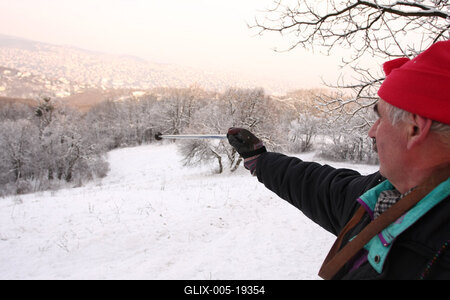 Normafa télen-stock-foto