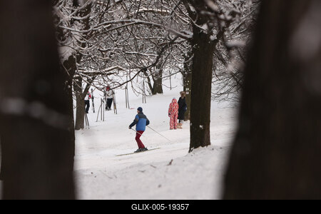Normafa télen-stock-foto
