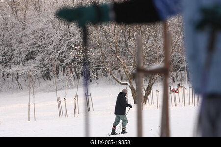 Normafa télen-stock-foto