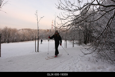 Normafa télen-stock-foto
