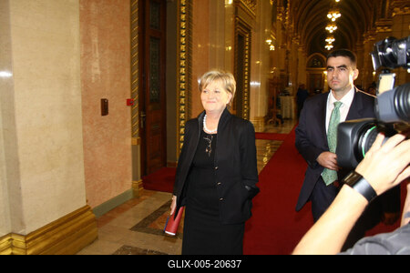 Fodor Gábor visszaadta képviselői mandátumát-stock-foto