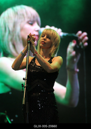 Cseh Tamás emléknap - Sziget Fesztivál 2010-stock-foto