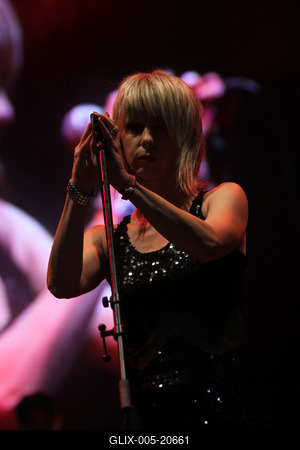 Cseh Tamás emléknap - Sziget Fesztivál 2010-stock-foto