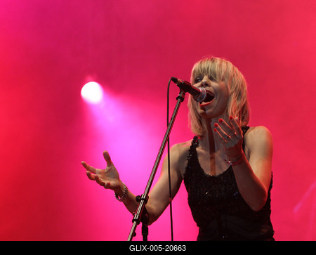 Cseh Tamás emléknap - Sziget Fesztivál 2010-stock-foto