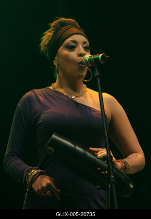 Sziget Fesztivál 2010 - 1. nap-stock-foto