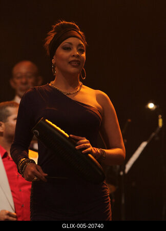 Sziget Fesztivál 2010 - 1. nap-stock-foto