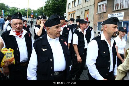 Erődemonstráció egy turulért-stock-foto