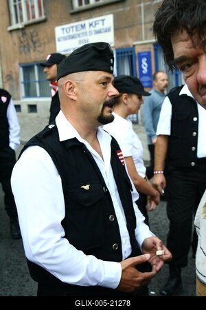 Erődemonstráció egy turulért-stock-foto