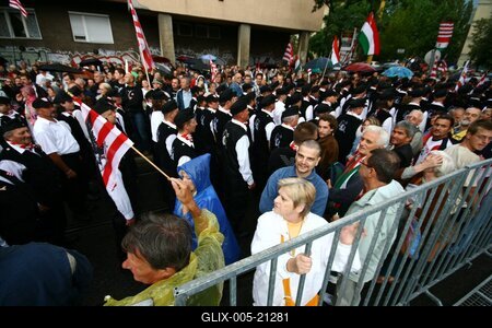 Erődemonstráció egy turulért-stock-foto