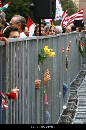 Erődemonstráció egy turulért-stock-foto
