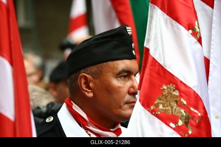 Erődemonstráció egy turulért-stock-foto