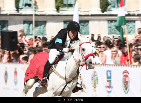 Nemzeti Vágta 2010-stock-foto