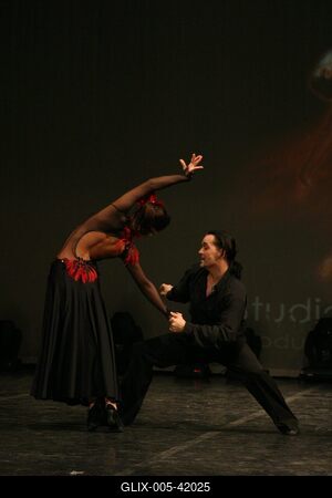 Budapest, 2008.01.21.
A Studio Vida támogatásával színpadra állt Magyarország legnagyobb salsa táncos produkciója a "Fuego de la SALSA - A SALSA tüze" 

A képen: Südi Iringó és Dudás Tibor-stock-foto