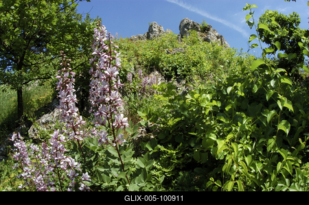 Tihany, Nyereg-hegy-stock-foto