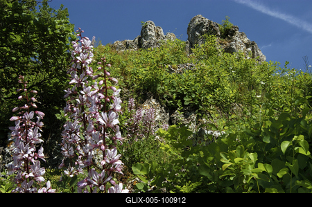 Tihany, Nyereg-hegy-stock-foto