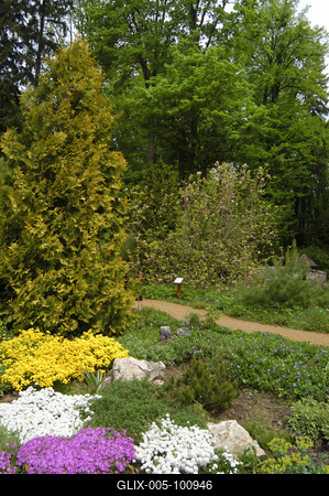 A Zirci Arborétum tavasszal-stock-foto