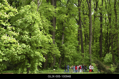 A Zirci Arborétum tavasszal-stock-foto