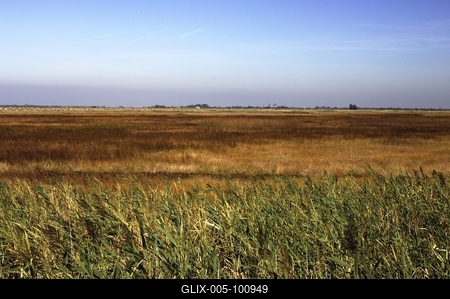 Hortobágy-stock-foto