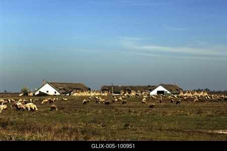 Hortobágy-stock-foto