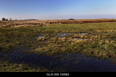 Hortobágy-stock-foto