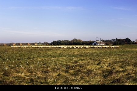 Hortobágy-stock-foto