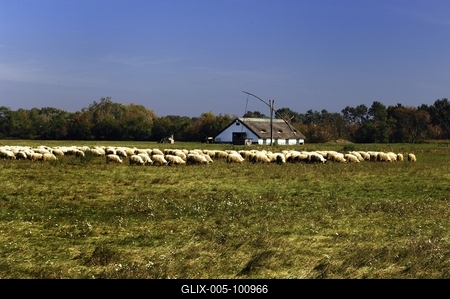 Hortobágy-stock-foto